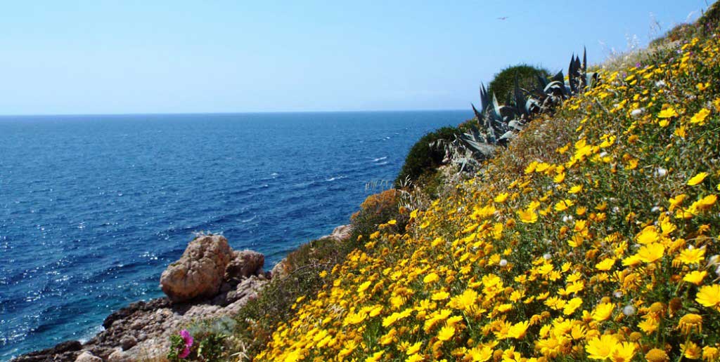 Sicilia occidentale in primavera: isole Egadi